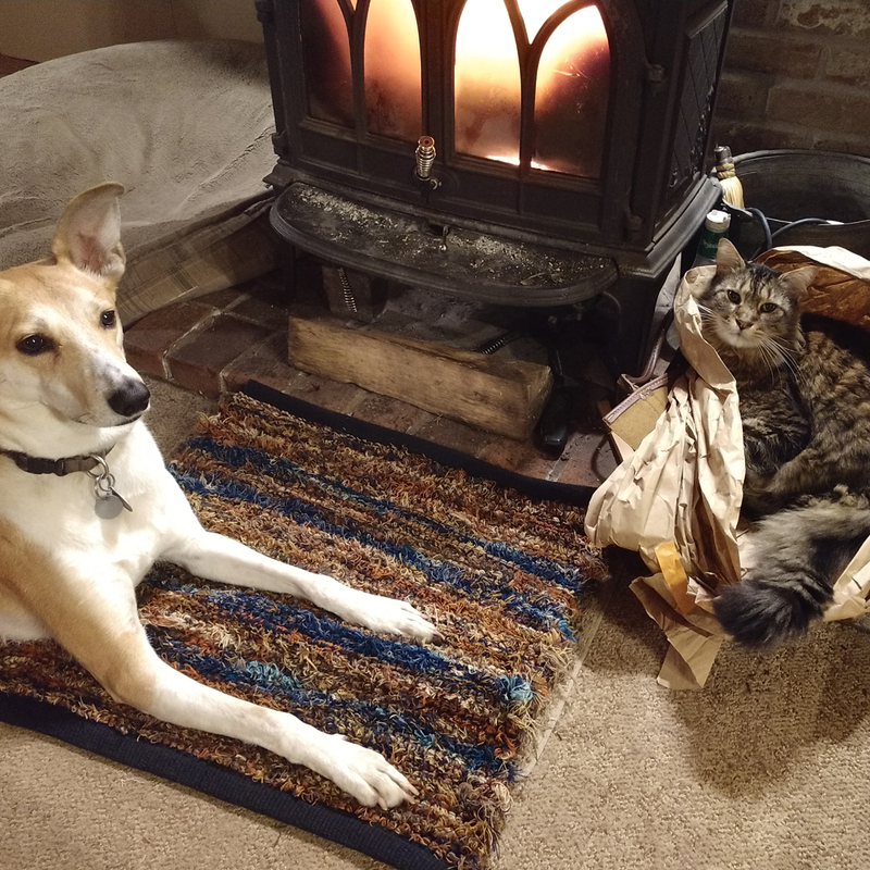 “It’s my rug. The cat can have the bag.” -Luke the dog